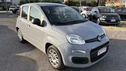Usata Fiat Panda 69 CV (50 kW) 2021 Grigio Utilitaria