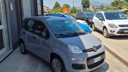 Usata Fiat Panda Easy 69 CV (50 kW) 2019 Nessuno(met.) Utilitaria