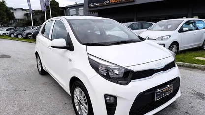 Usata Kia Picanto Urban 67 CV (49 kW) 2023 Bianco Utilitaria