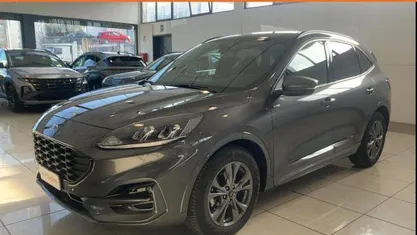 Usata Ford Kuga ST-Line 120 CV (88 kW) 2024 Grigio SUV