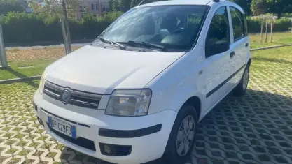Usata Fiat Panda Dynamic 69 CV (50 kW) 2008 Bianco Utilitaria