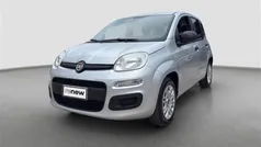 Grigio Usata 2019 Fiat Panda Pop Due volumi | 7900 € (Ottimo prezzo)