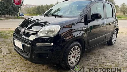 Usata Fiat Panda Lounge 69 CV (50 kW) 2014 Utilitaria