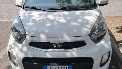 Usata Kia Picanto City 66 CV (48 kW) 2016 Bianco Utilitaria