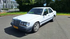 Bianco Usata 1986 Mercedes 300 Tre volumi | 3999 €