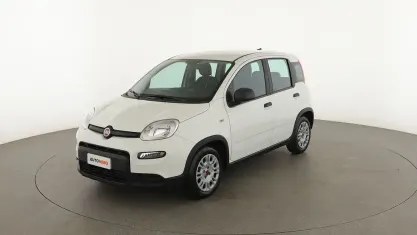 Usata Fiat Panda 69 CV (50 kW) 2024 Bianco Utilitaria