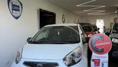 Usata Kia Picanto 67 CV (49 kW) 2015 Bianco Utilitaria