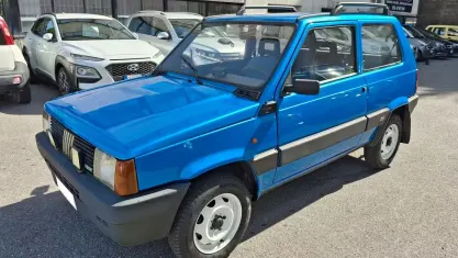 Usata Fiat Panda 4x4 Trekking 50 CV (36 kW) 1994 Bluazzurro Utilitaria