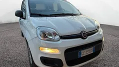 Usata 2020 Fiat Panda Easy Tre volumi | 9900 € (Buon prezzo)