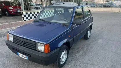 Usata Fiat Panda 4x4 Trekking 54 CV (39 kW) 1999 Blu Utilitaria