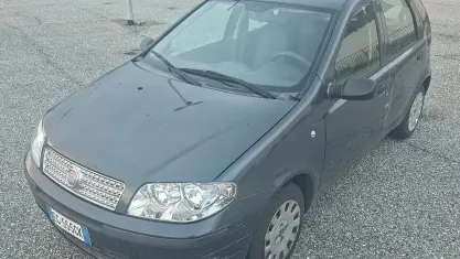Usata Fiat Punto Active 60 CV (44 kW) 2011 Grigio Utilitaria