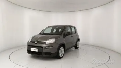Usata Fiat Panda S 69 CV (50 kW) 2023 Grigio Utilitaria