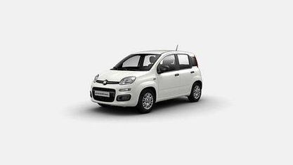Neu Fiat Panda Pop 65 PS (47 kW) 2026 Weiß Kleinwagen
