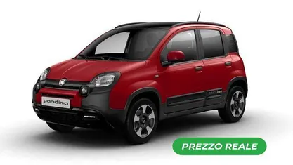 Usata Fiat Panda Cross Cross 69 CV (50 kW) 2025 Utilitaria