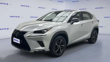 Usata Lexus NX300h Luxury Line 155 CV (114 kW) 2019 Grigio argento SUV