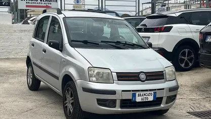 Usata Fiat Panda Dynamic 59 CV (43 kW) 2009 Grigio Utilitaria