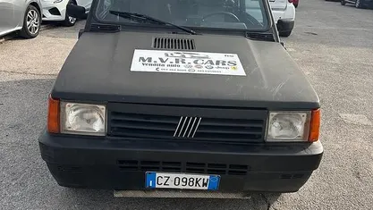 Usata Fiat Panda 4x4 44 CV (32 kW) 1992 Utilitaria