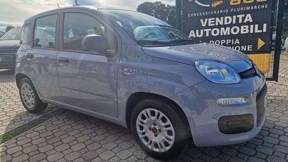 Begagnad Fiat Panda Easy 69 HK (50 kW) 2021 Grå Halvkombi