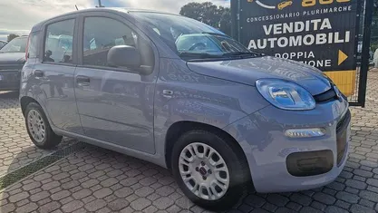 Usata Fiat Panda Easy 69 CV (50 kW) 2021 Grigio Utilitaria