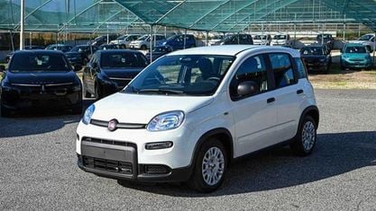 Nuova Fiat Panda Icon 69 CV (50 kW) 2025 Bianco Utilitaria