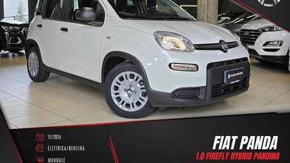 Usata Fiat Panda S 70 CV (51 kW) 2024 Bianco Utilitaria