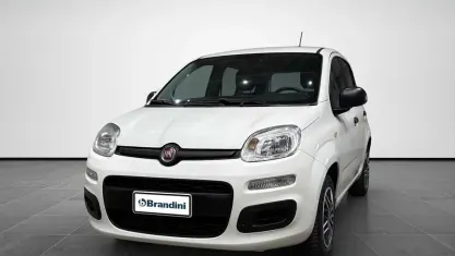 Usata Fiat Panda Easy 69 CV (50 kW) 2019 Bianco Utilitaria