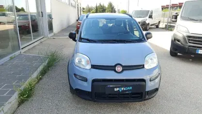 Usata Fiat Panda City Life 70 CV (51 kW) 2022 Grigio silverstone Utilitaria