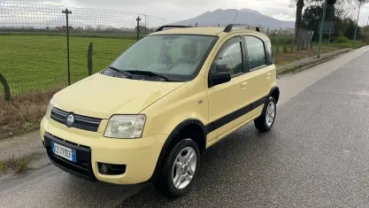 Usata Fiat Panda 4x4 69 CV (50 kW) 2006 Giallo Utilitaria