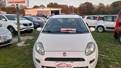 Usata Fiat Punto Easy 77 CV (56 kW) 2013 Bianco Utilitaria