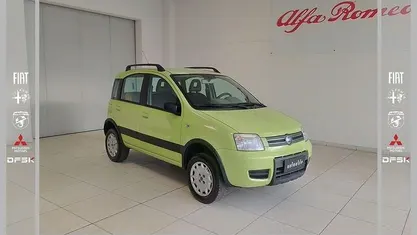 Verde Usata 2005 Fiat Panda 4x4 Climbing Utilitaria | 6490 € (Molto cara)