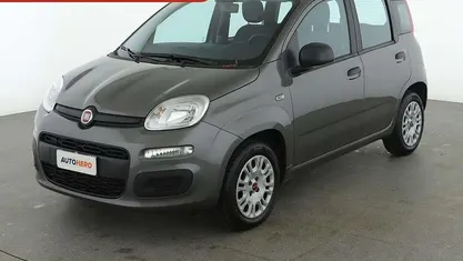 Usata Fiat Panda Easy 70 CV (51 kW) 2019 Grigio Utilitaria