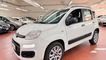 Usata Fiat Panda Easy 80 CV (58 kW) 2014 Bianco Utilitaria