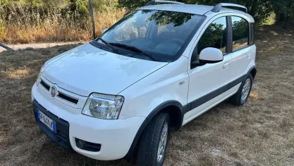 Usata Fiat Panda 4x4 Climbing 75 CV (55 kW) 2012 Bianco Utilitaria