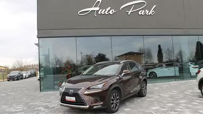 Usata Lexus NX300h Business Edition 155 CV (114 kW) 2018 Marrone SUV
