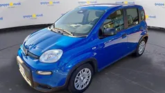 Usata 2024 Fiat Panda | 14.000 €