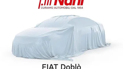 Usata Fiat Doblò Easy 95 CV (69 kW) 2019 Monovolume