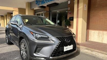 Usata Lexus NX300h Business Edition 155 CV (114 kW) 2019 Grigio SUV