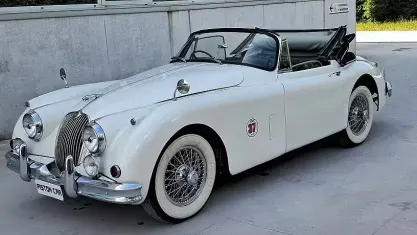 Usata Jaguar XK 190 CV (139 kW) 1950 Bianco Cabrio
