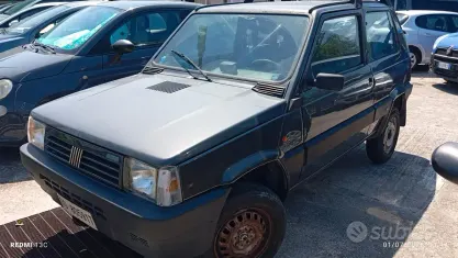 Usata Fiat Panda 4x4 Club 50 CV (36 kW) 1992 Grigio Utilitaria