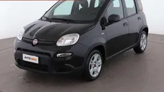 Nero Usata 2024 Fiat Panda Due volumi | 13.599 € (Cara)