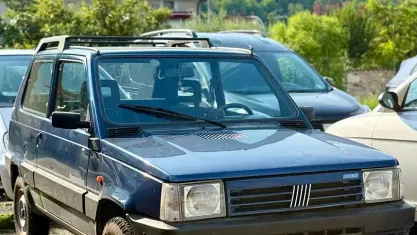 Usata Fiat Panda 4x4 Club 50 CV (36 kW) 1992 Blu Utilitaria