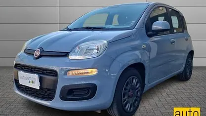 Usata Fiat Panda Easy 95 CV (69 kW) 2017 Grigio Utilitaria