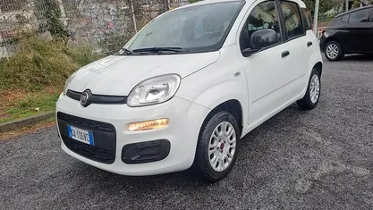 Usata Fiat Panda Easy 69 CV (50 kW) 2020 Bianco Utilitaria