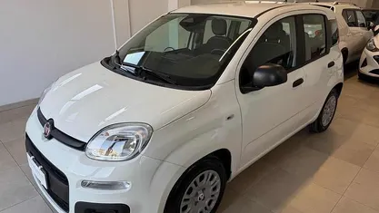 Usata Fiat Panda S 70 CV (51 kW) 2025 Bianco Utilitaria