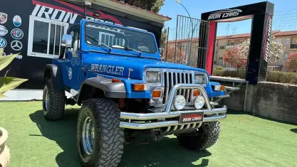 Usata Jeep Wrangler 103 CV (75 kW) 1990 Blu SUV