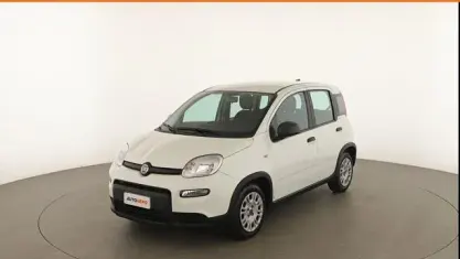 Usata Fiat Panda S 70 CV (51 kW) 2023 Bianco Utilitaria