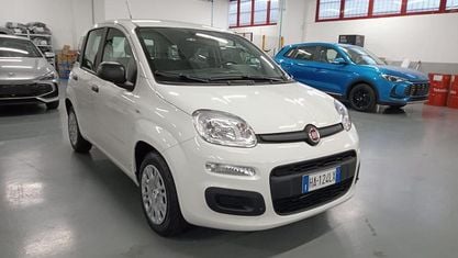 Usata Fiat Panda S 70 CV (51 kW) 2024 Giallo sole (pastello) Utilitaria