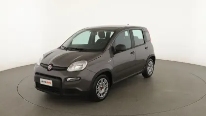 Usata Fiat Panda 69 CV (50 kW) 2023 Grigio Utilitaria