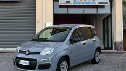Usata Fiat Panda Easy 69 CV (50 kW) 2018 Grigio Utilitaria