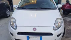 Bianco Usata 2014 Fiat Punto Street Due volumi | 3800 € (Buon prezzo)